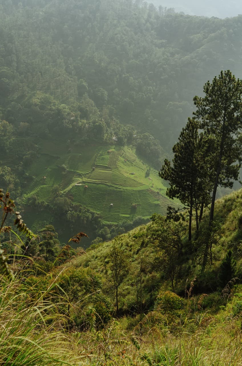 Превью Sri Lanka 2022